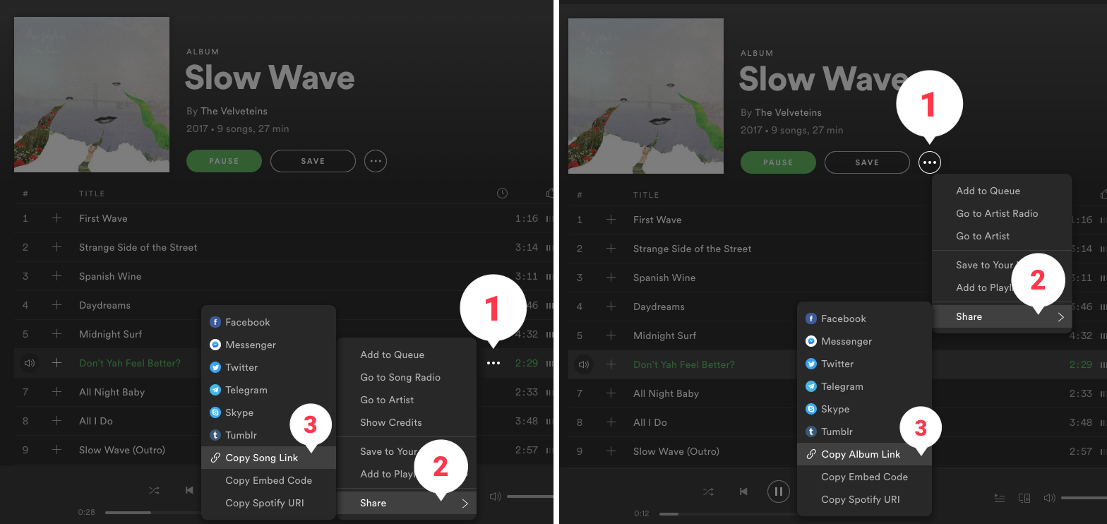 Spotify_URL.png